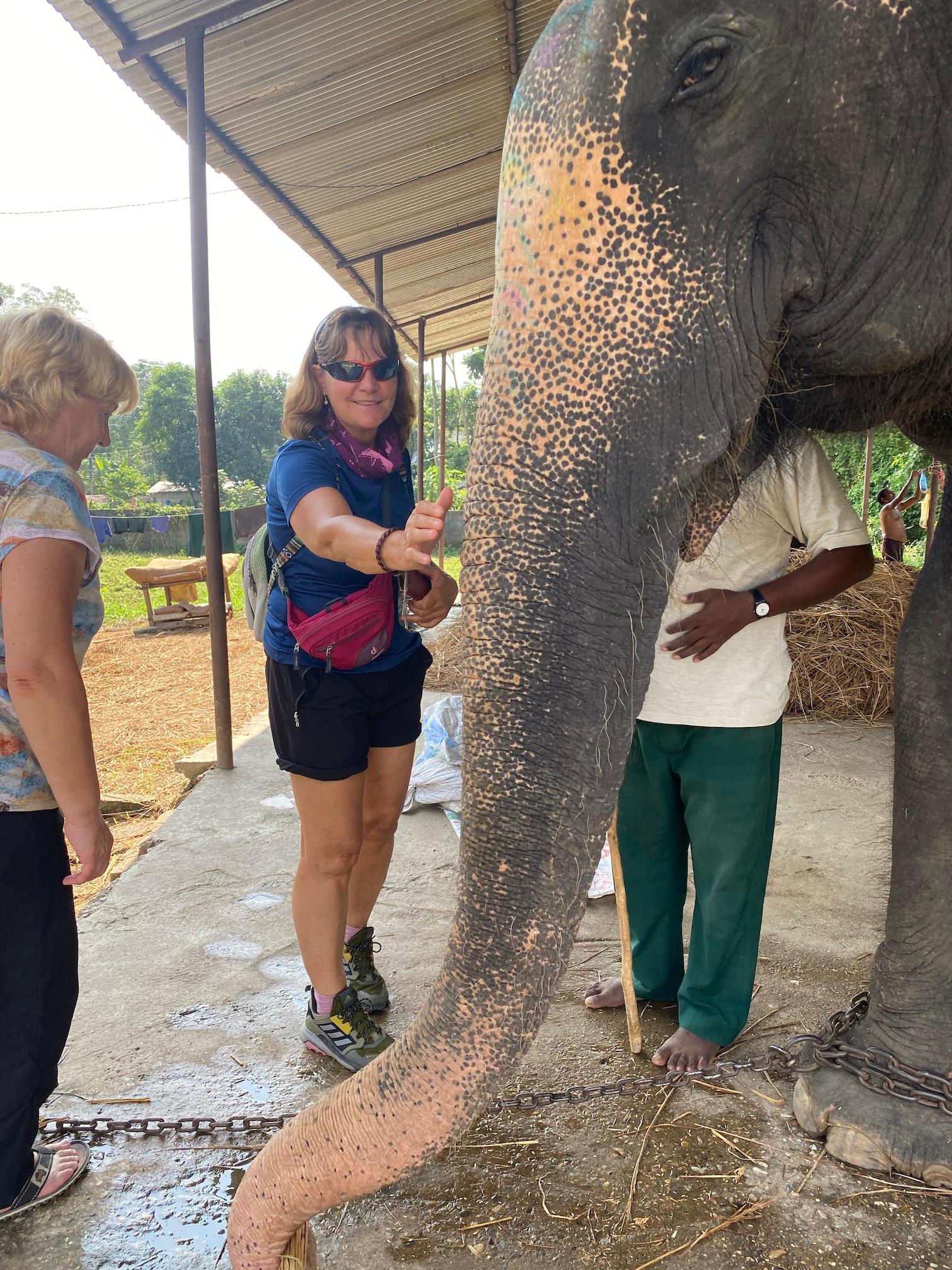 3 a d5 f4 e b b f8 b32 f f e a75%7 c0